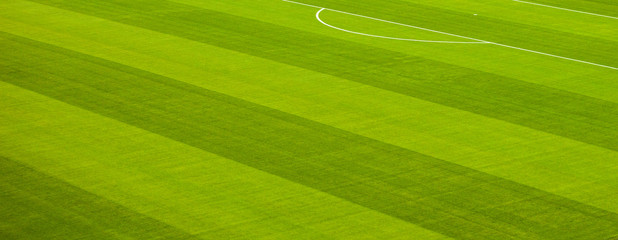 Green grass soccer (football) field background, end of game