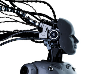 Female cyborg or robot