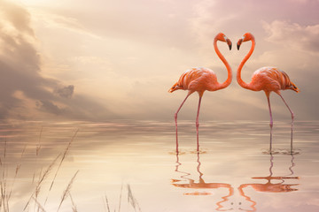 Plakat woda para flamingo ptak egzotyczny