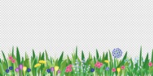 Spring Garden Grass And Flowers Border. Cartoon Vector Flower Background. Green Elements Objects Flora On Transparent Background