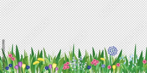 Cuadros en Lienzo Spring garden grass and flowers border