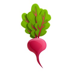 Poster - Eco beet icon. Cartoon of eco beet vector icon for web design isolated on white background