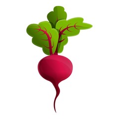 Poster - Raw beet icon. Cartoon of raw beet vector icon for web design isolated on white background