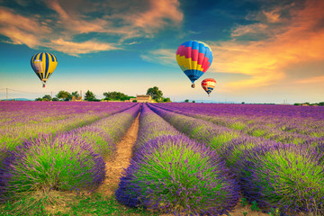 Wall Mural - Violet lavender fields with colorful hot air balloons, Provence, France