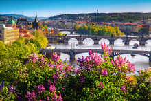 Wonderful Spring Panorama Of Prague With River And Bridges
