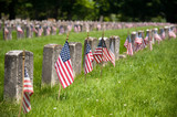 Fototapeta Miasto - American Civil War cemetery