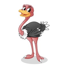 Wall Mural - Happy Ostrich, Bird Animal, Cartoon Vector Illustration Mascot, in Isolated White Background.