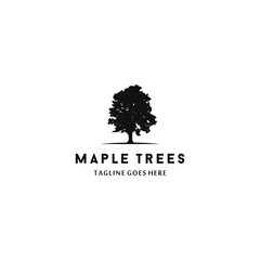 Maple Tree Leaf Silhoutte Plant Natural Organic Growth Design Vector Inspiration