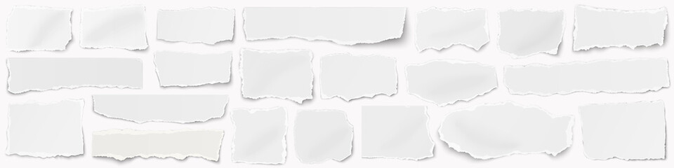 Wall Mural - A long horizontal set of torn pieces of paper isolated on a white background.