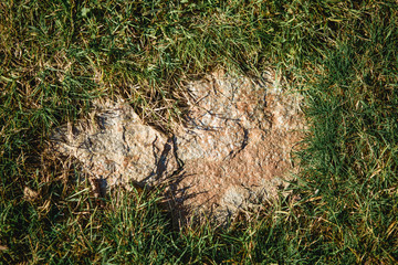 Texture of grey stone framed by grass. Background, natural eco-frame made of grass and stone