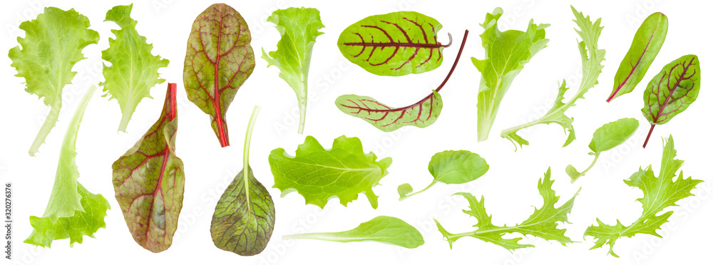 Set of fresh green lettuce leaves isolated on white background, detail for collage, close up - obrazy, fototapety, plakaty 