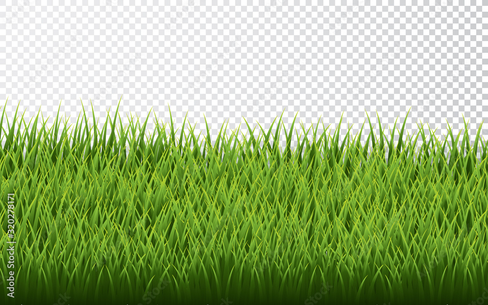 Green grass border set on transparent background. Vector Illustration - obrazy, fototapety, plakaty 