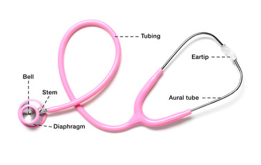 Modern stethoscope with names of particular parts on white background