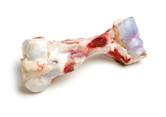 Raw beef bones on white background