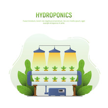 Hydroponics Farm. Vegetables Hydroponic System Isolated On White Background. Hydroponics Method Of Growing Plants Without Soil Organic Agriculture For Health Food. Vector Illustration.