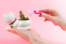 A Woman's Hands Holding A Razor And Green Cactus In A White Flowerpot Like Cat, In Palm On A Pink Background. The Concept Of Depilation, Epilation And Removal Unwanted Hair On The Body. Copy Space