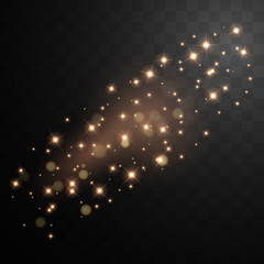 Wall Mural - golden glitter sparkles. shining star on transparent background