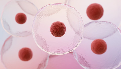 Wall Mural - 3d illustration of embryonic stem cells, cellular therapy background.