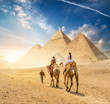 Camel Caravan of Giza