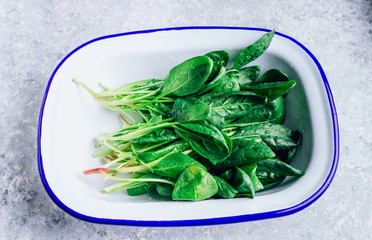 Wall Mural - Fresh green baby spinach on plate on stone table. Healthy diet, vegetarian food concept.