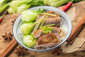 A bowl of stewed goose rice， Chaoshan specialty of Guangdong Province China