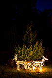 Fototapeta  - christmas outdoor decoration