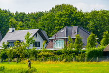 Typical Dutch Architecture, Country Side Houses With Forest And Grass Pasture, Bergen Op Zoom, The Netherlands