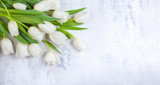 Fototapeta Tulipany - Beautiful white tulips flowers for holiday.