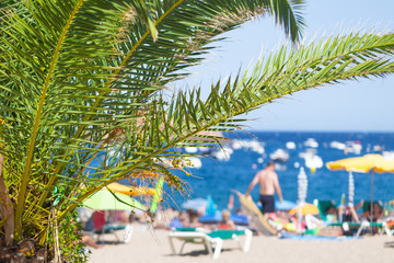 View of the beach by the sea at summer noon, a branch of a palm tree in the foreground