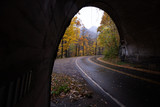 Fototapeta  - tunnel with light at end of tunnel, road in forest, road in autumn,Winding road, autumn foliage, Great Smoky Mountains