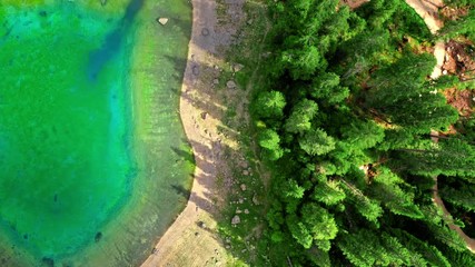 Wall Mural - top down of mountain lake carezza, dolomites, italy