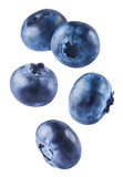 Fototapeta  - Fresh raw blueberries falling in the air.