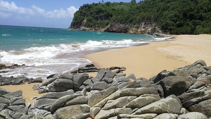 Wall Mural - beach and sea