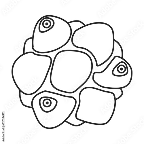 Fotomural Germ of bacteria vector icon