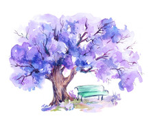 Blooming Jacaranda Trees,blue Bench Under Tree In The Park.Watercolor Sketch.Hand Drawn
