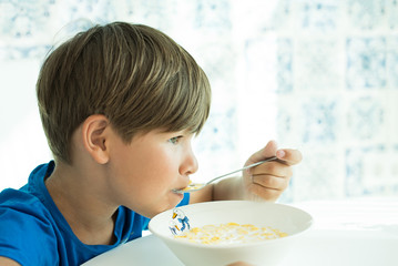 cereal with milk in a white plate for breakfast, space for text, isolate