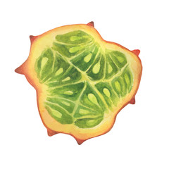 Wall Mural - Slice of Cucumis metuliferus (also called an African horned cucumber, spiked melon, kiwano). Hand drawn botanical watercolor painting illustration isolated on white background.