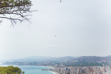 panorama of the coast of the city of benidorm in spain and two birds fly high in the sky above the city