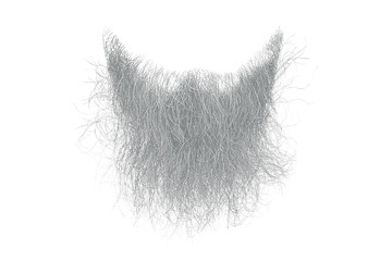 Wall Mural - Disheveled gray beard isolated on white. Mens fashion