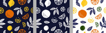 Tropical Seamless Pattern Set With Citrus