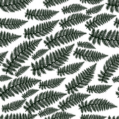 Poster - Beautiful pattern with tropical leaves for textile design. Modern palm seamless pattern. Modern wallpaper. Beautiful floral texture. Jungle vector floral template. Summer nature print. Tropical leaves