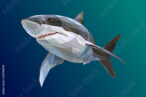 Photographie Wild Shark Isolated in Lowpoly Illustration