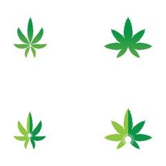 Wall Mural - Set of vector illustration icon of cannabis leaves green with white background