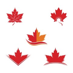 Wall Mural - Set of vector illustration icon of autumn red and orange maple leaves with white background