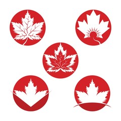 Wall Mural - Set of vector illustration icon of autumn red and orange maple leaves with white background