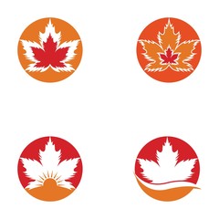 Wall Mural - Set of vector illustration icon of autumn red and orange maple leaves with white background
