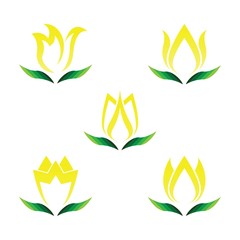 Wall Mural - Set of vector illustration icon of beautiful tulips with white background