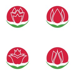 Wall Mural - Set of vector illustration icon of beautiful tulips with white background