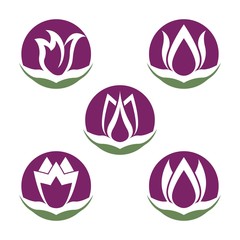 Wall Mural - Set of vector illustration icon of beautiful tulips with white background