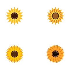Wall Mural - Set of vector illustration icon of beautiful sunflower with white background